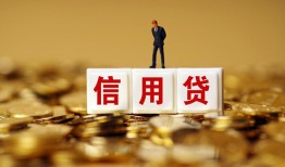 成都空放哪里可以民间借贷-成都空放私人借钱当天拿钱-成都空放贷款联系电话