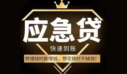 成都空放本地私借-成都空放贷款当天放款-成都空放私人身份证借私借